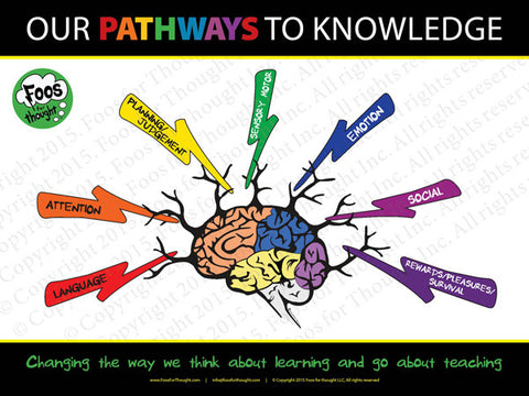 Multiple Learning Pathways Poster